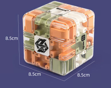 Large Labyrinth 3D Puzzle Maze Cube