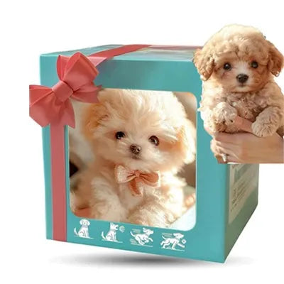 Realistic Puppy Toy