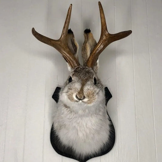 Animal Rabbit Antlers Wall Decor
