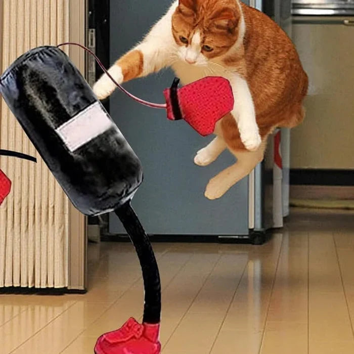 YoPoll Interactive Cat Punching Bag Toy Resistant Indoor Boxing Toy