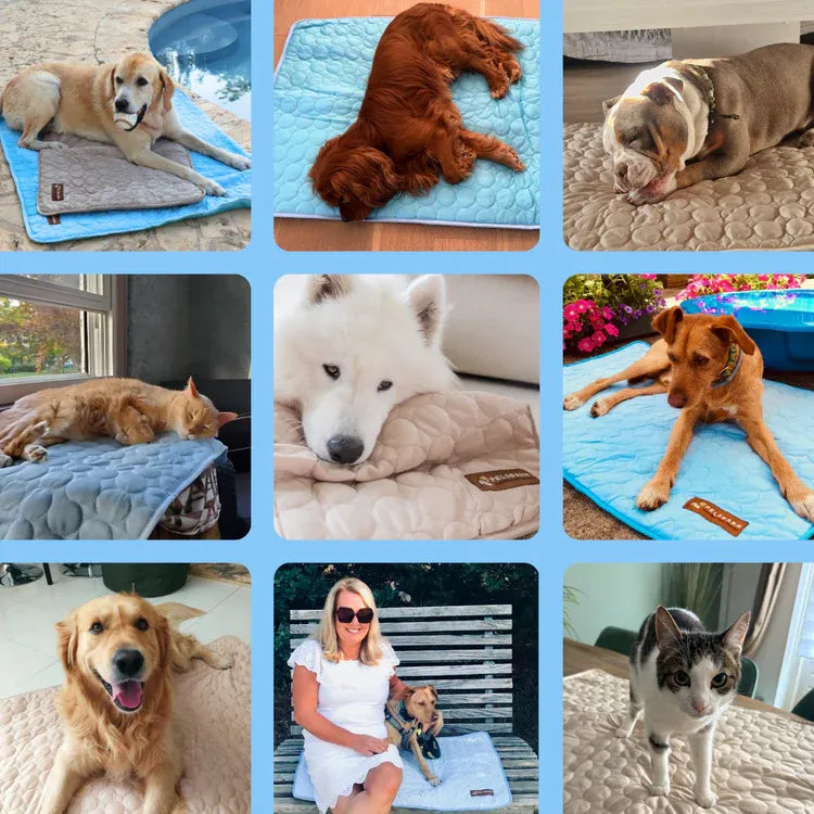 Pet Cooling Summer Mat