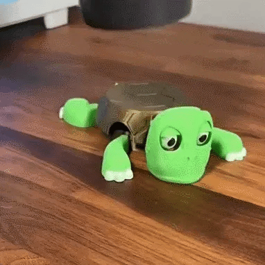 Reactive Turtle Coaster