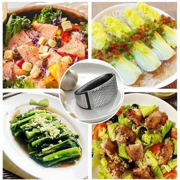 430 Stainless Steel Ring Garlic Press