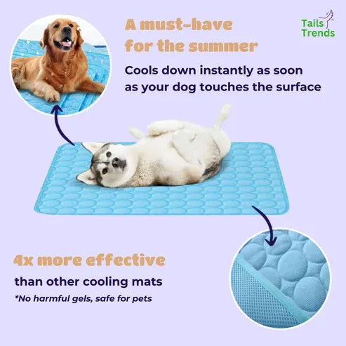 Pet Cooling Summer Mat