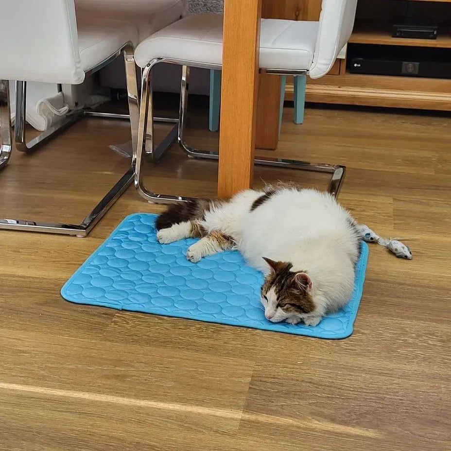 Pet Cooling Summer Mat